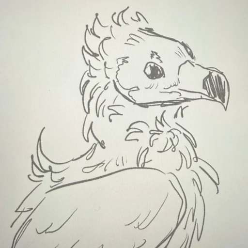 Bird's profile picture