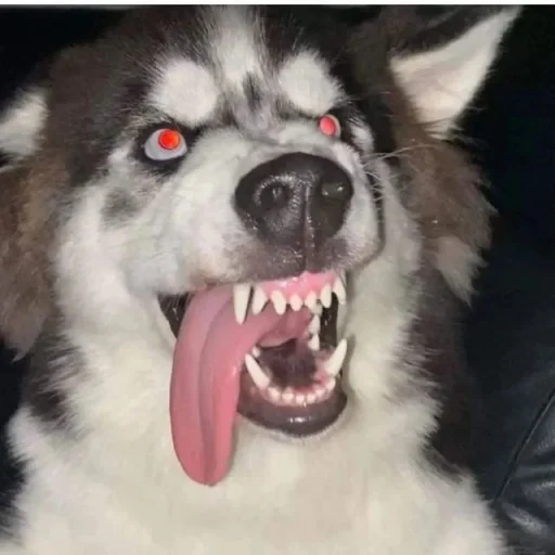user pfp
