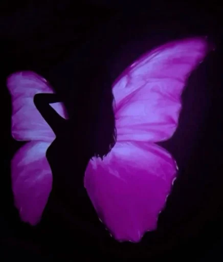 s.c.o.t.t.i.e's profile picture