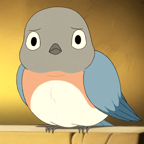 Bird's profile picture