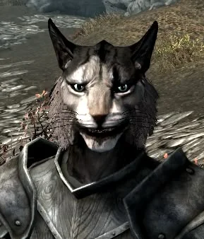 A Random Khajiit's profile picture