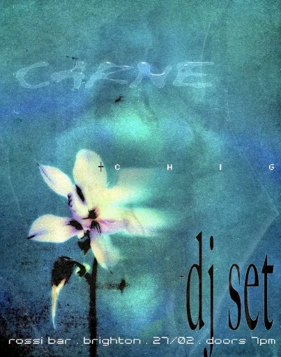 ⋆✩⋆  ⋆˚｡⋆✧˚  Nfrtiti  ˚✧⋆｡˚⋆⋆✩⋆