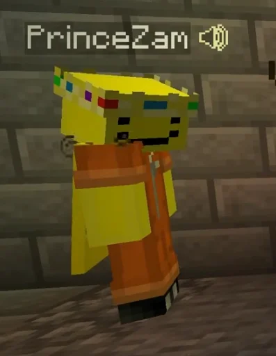 ρriꪀc౿ zᥲო  ♡