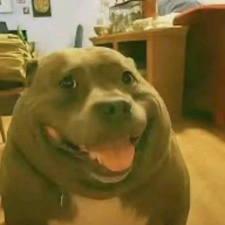 user pfp