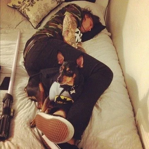 photo