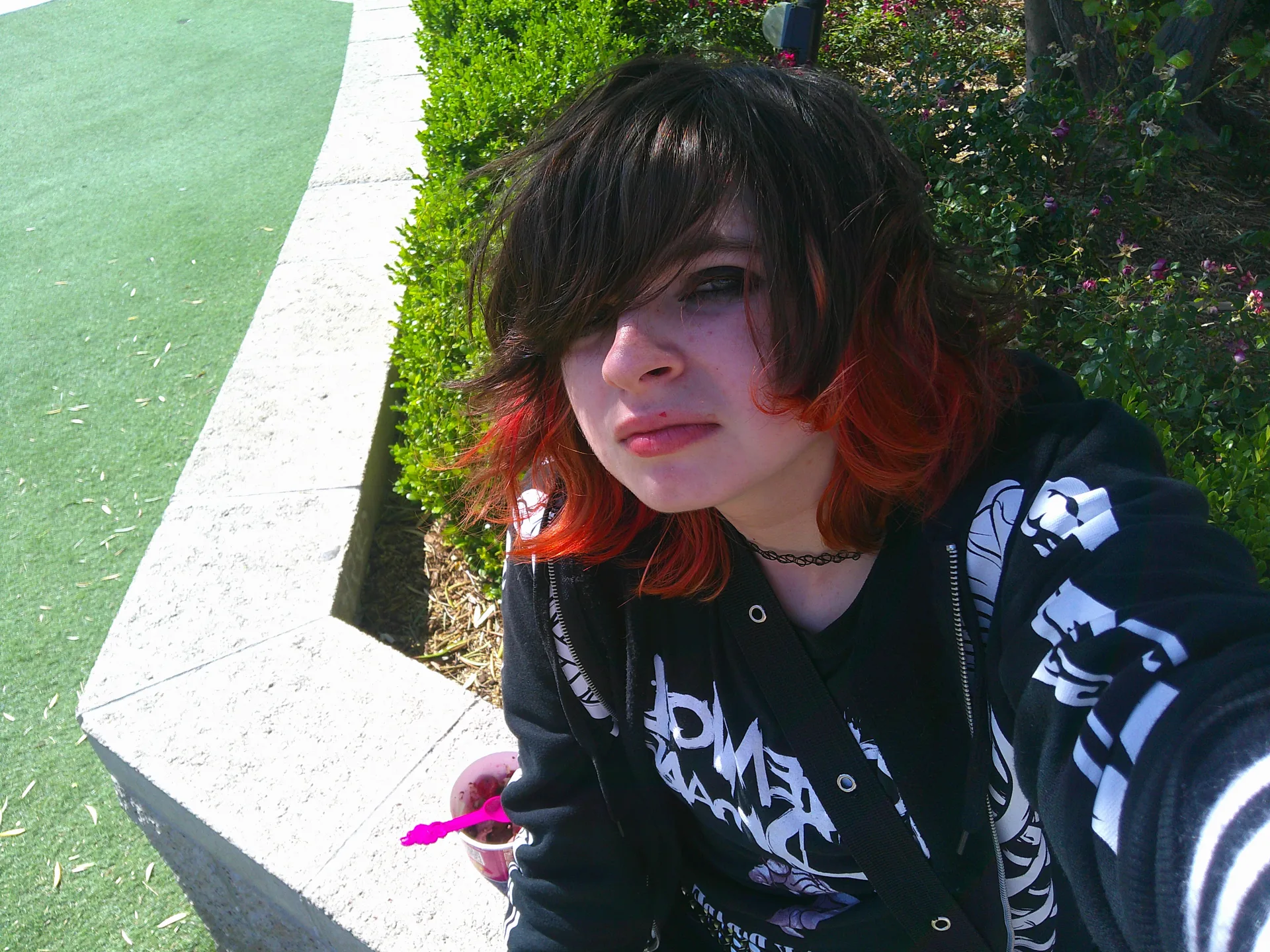 photo