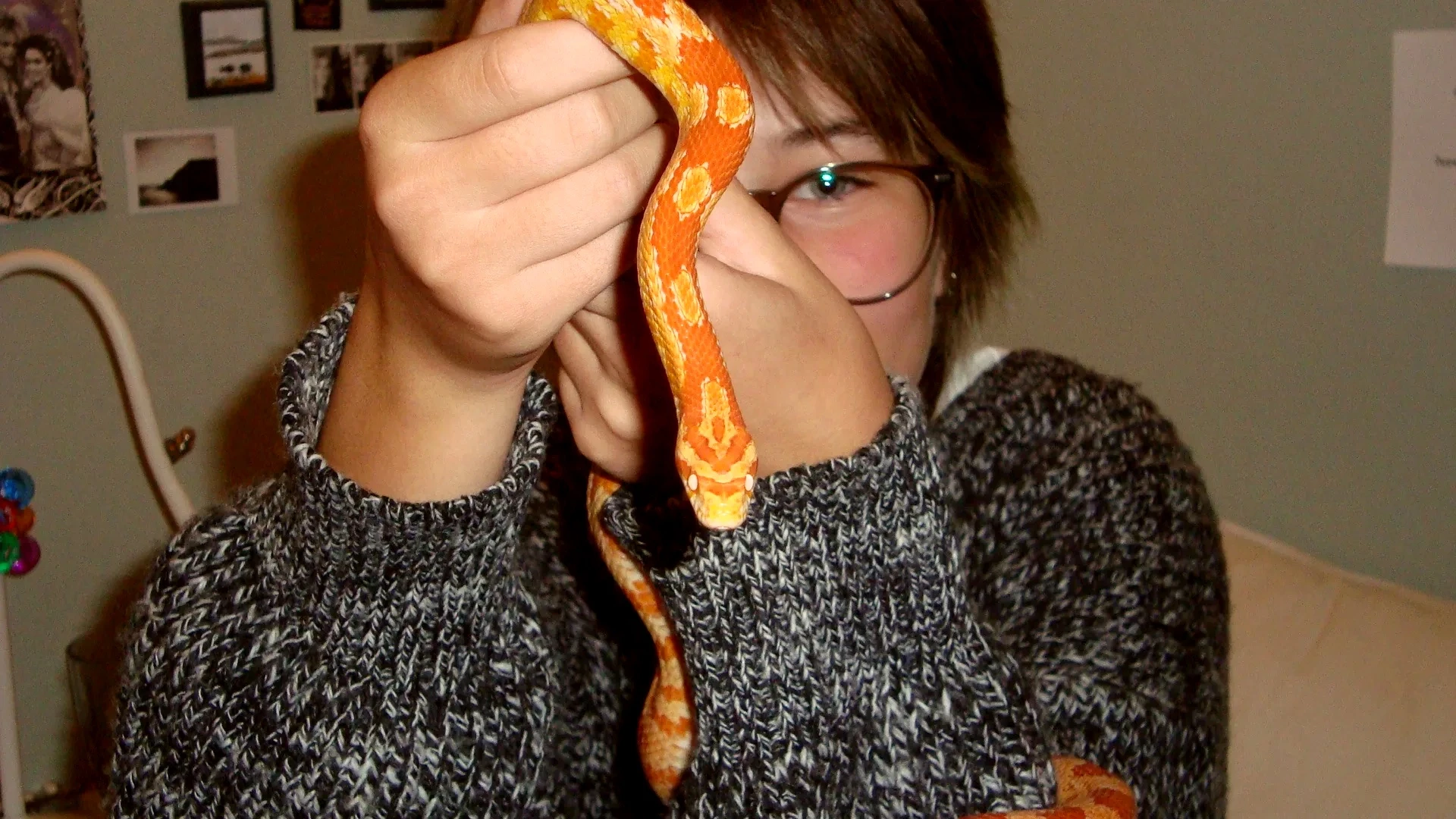 photo
