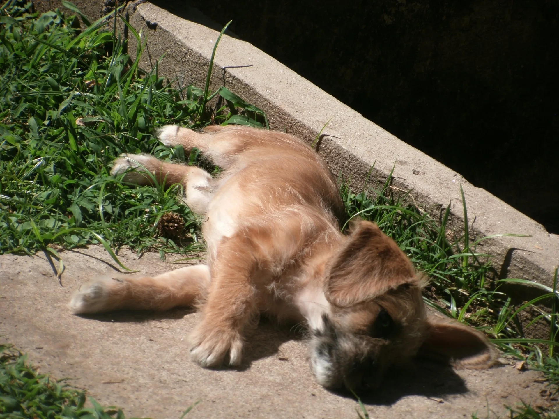 photo