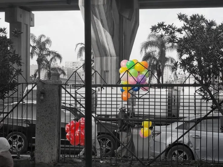 photo