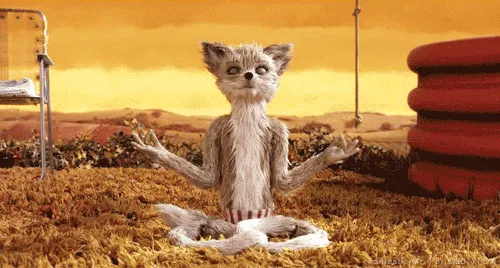 fox meditation