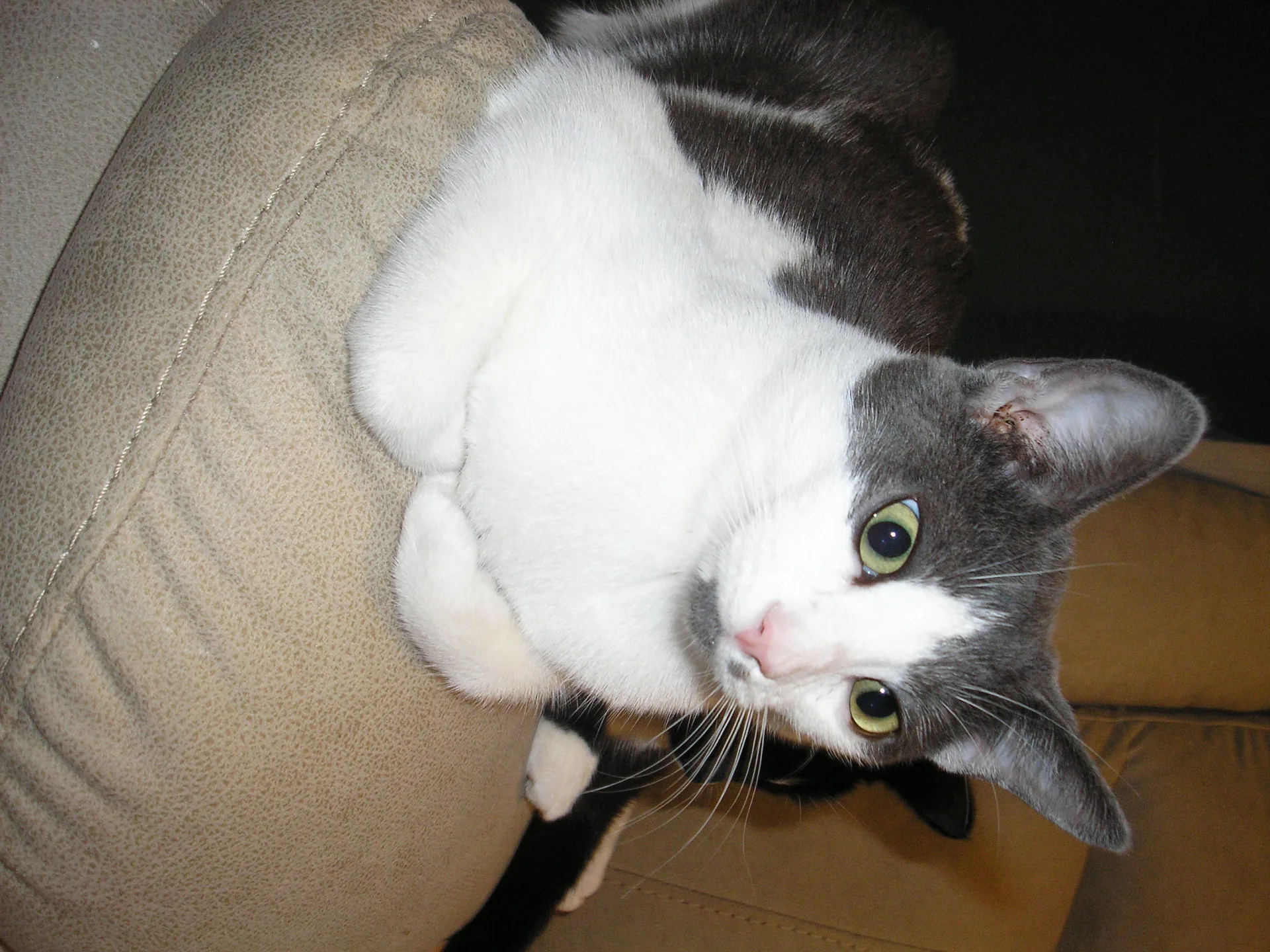 photo