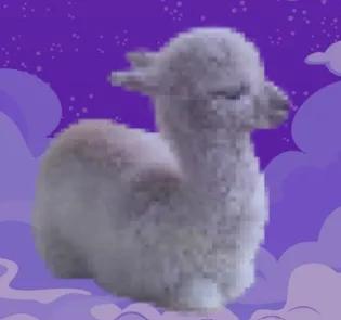 My profile picture