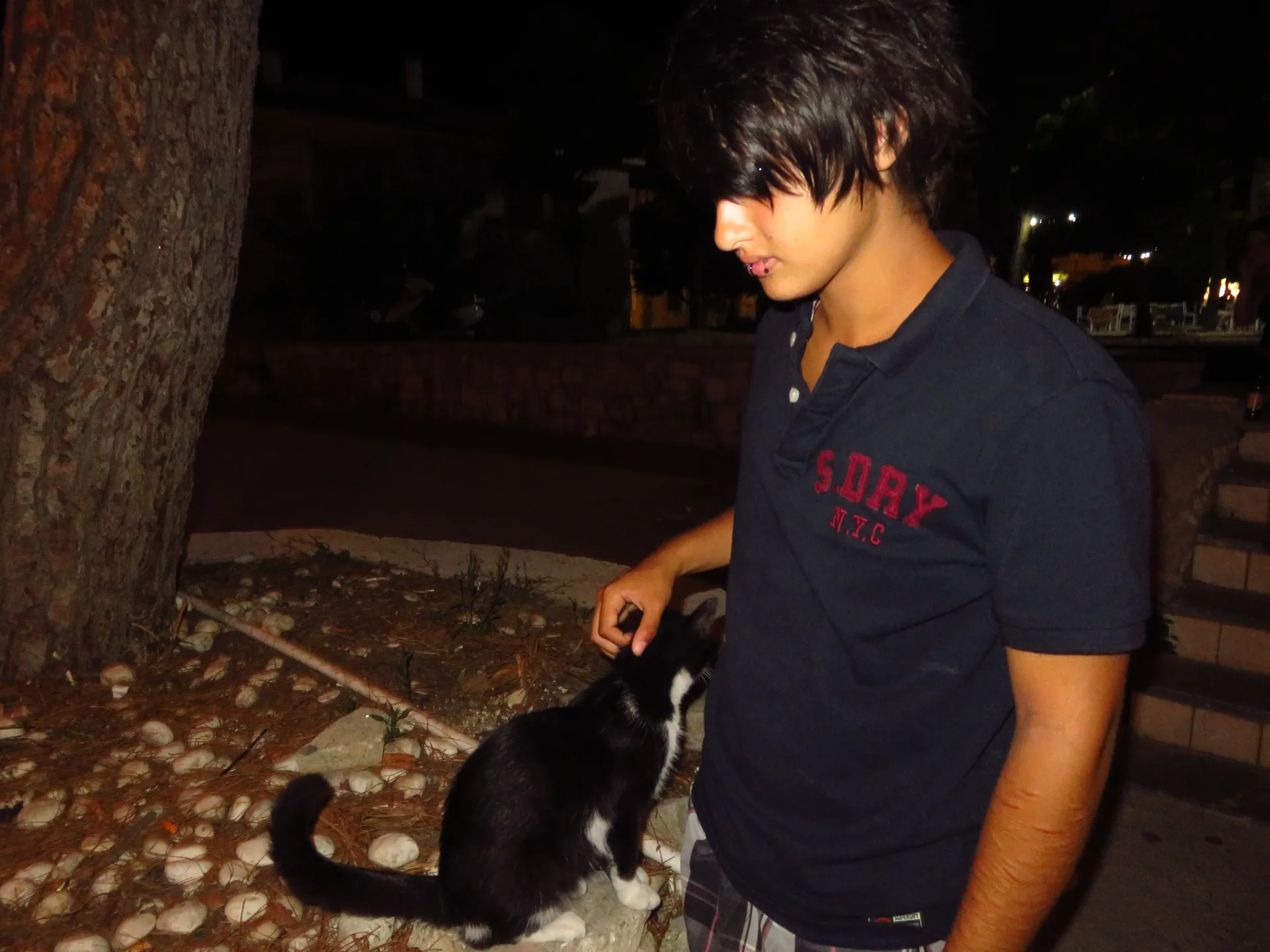 photo