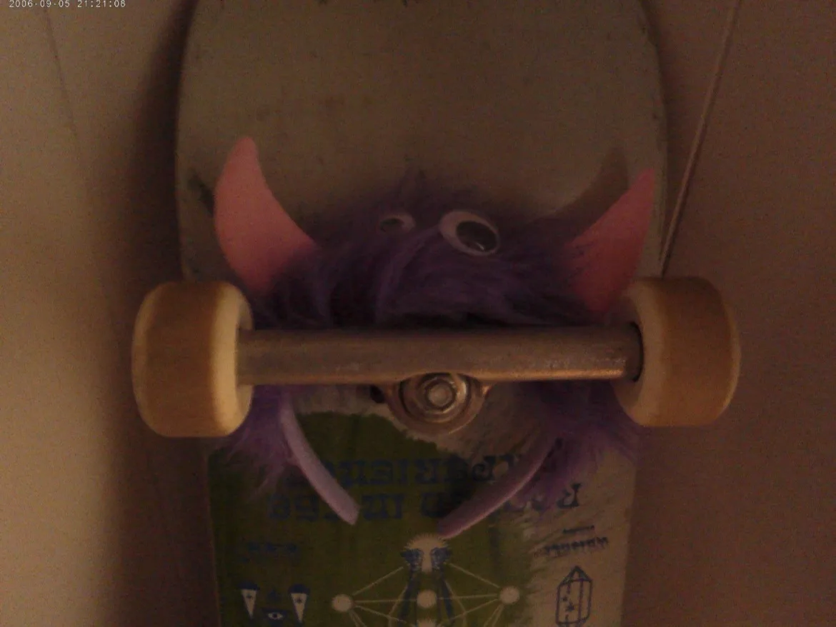 photo