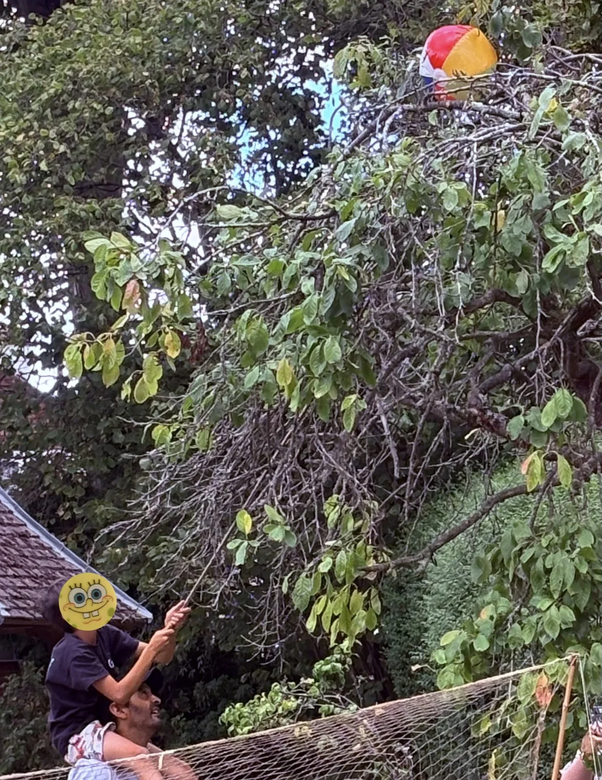 Ball tree