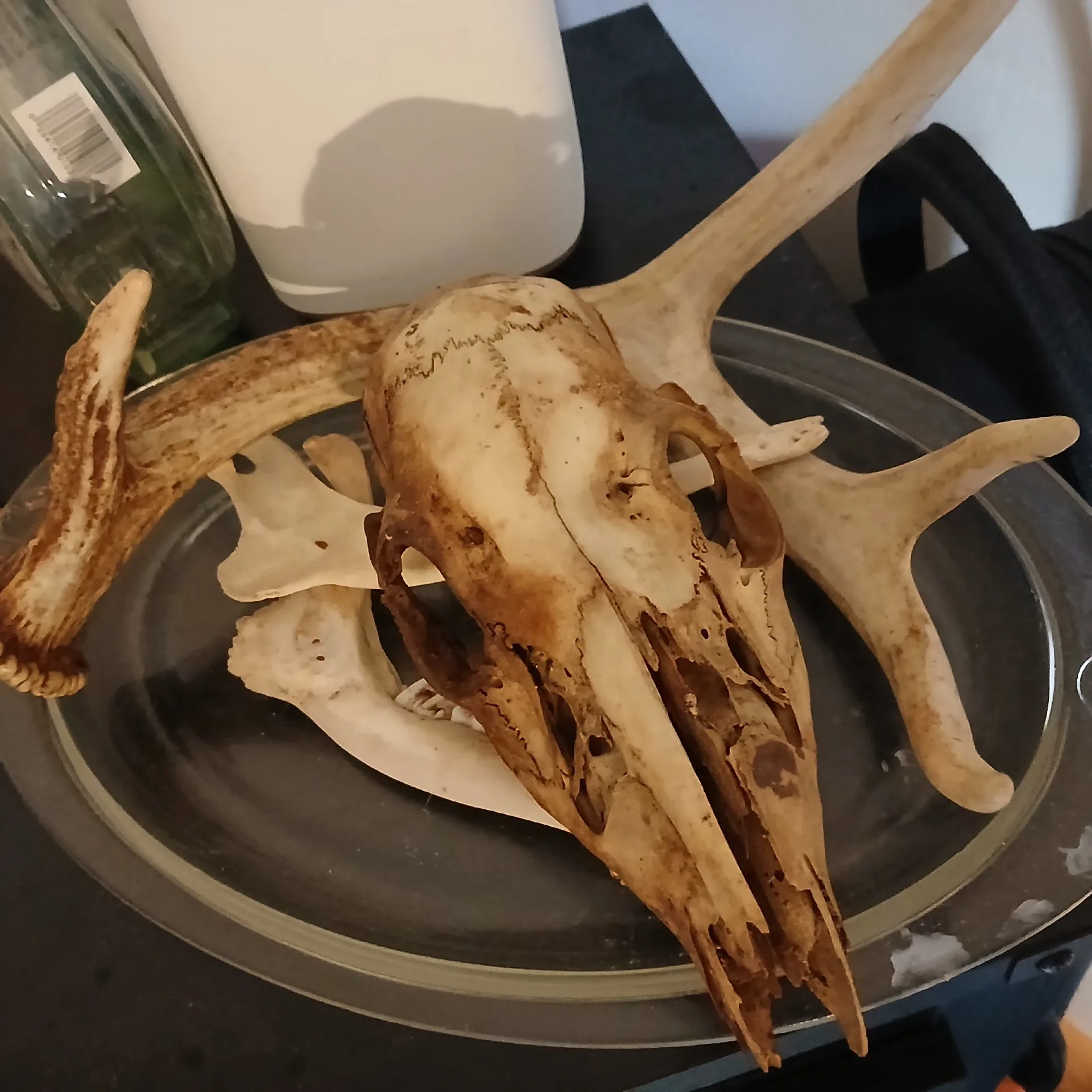 photo