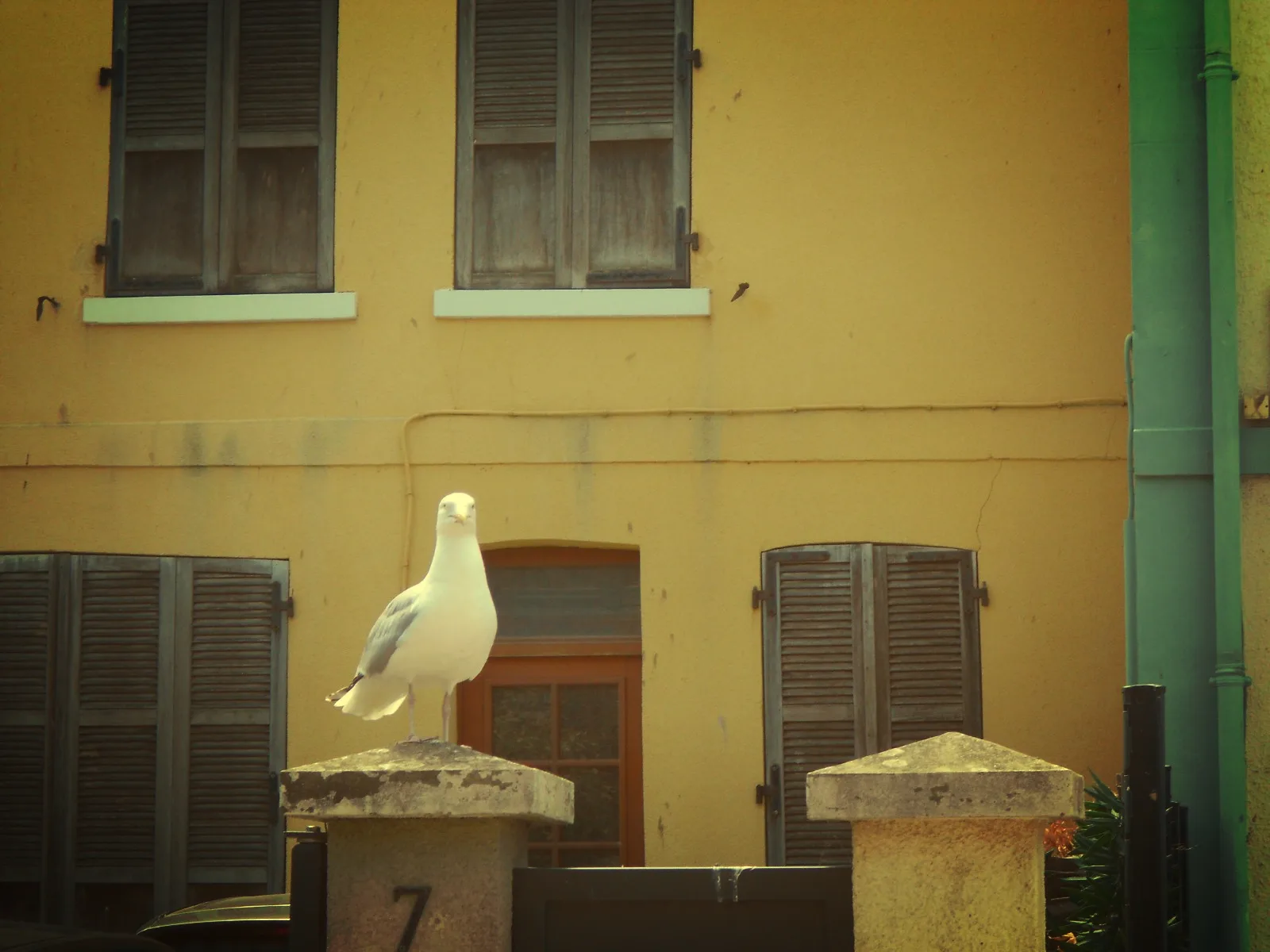 photo