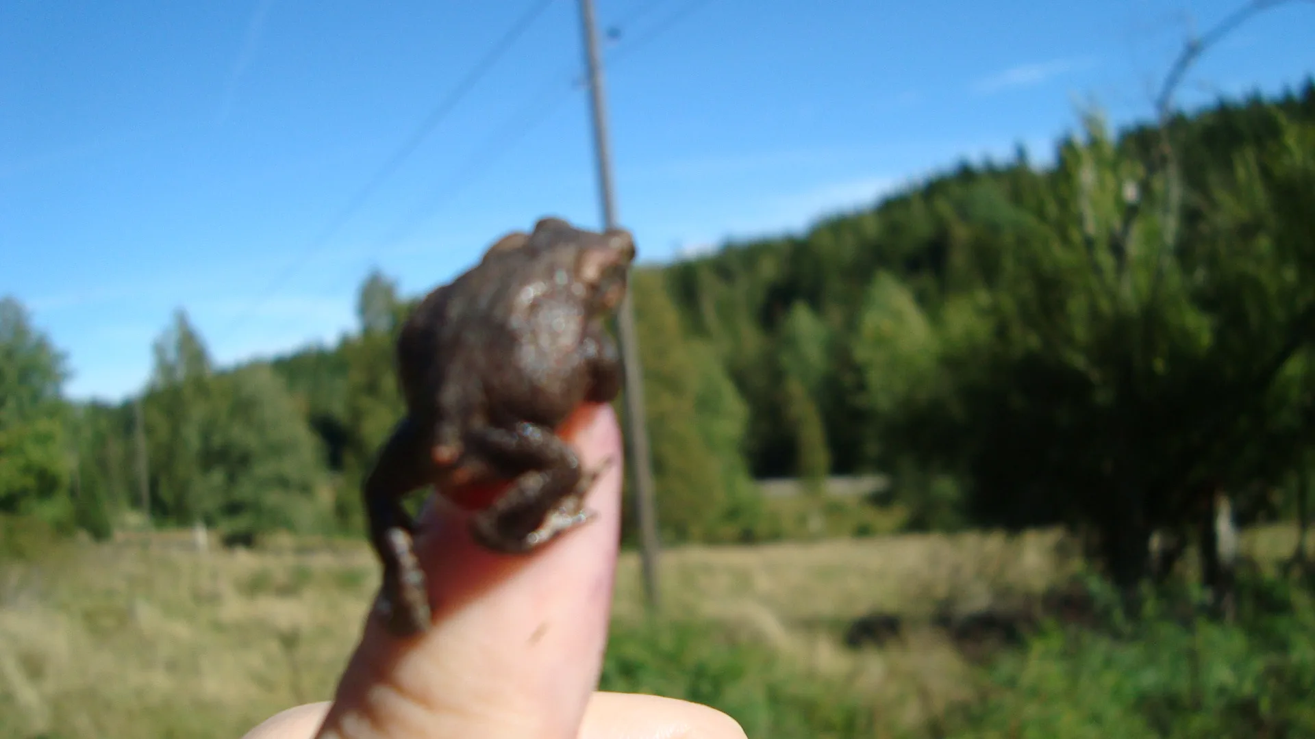 photo