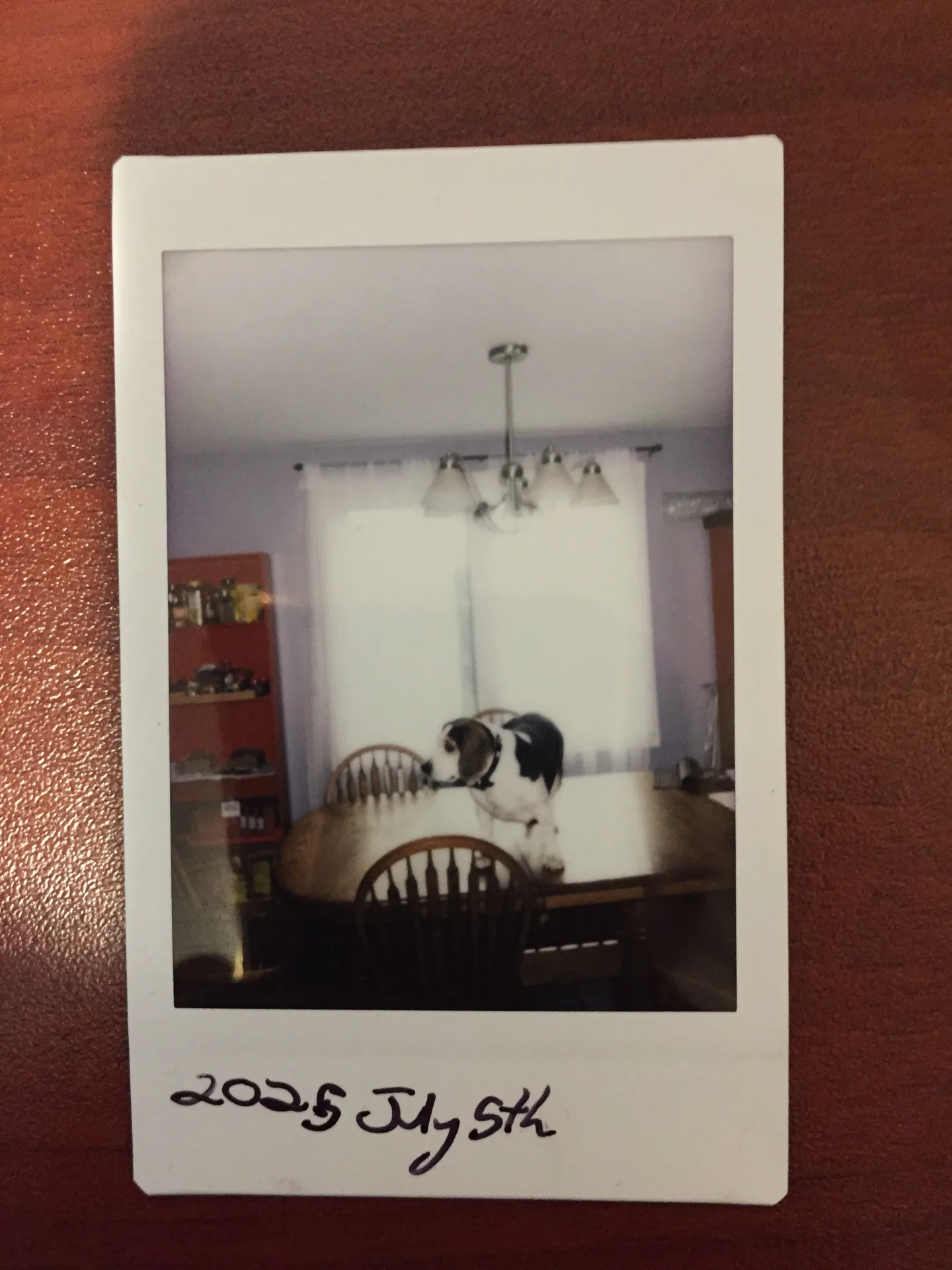 photo