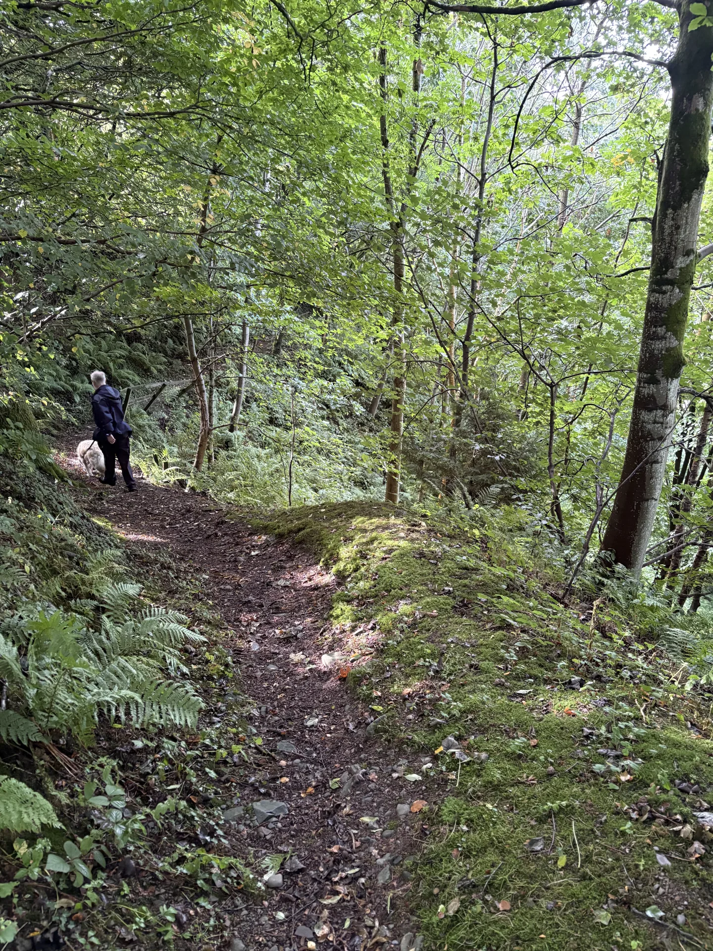 Scotland walk