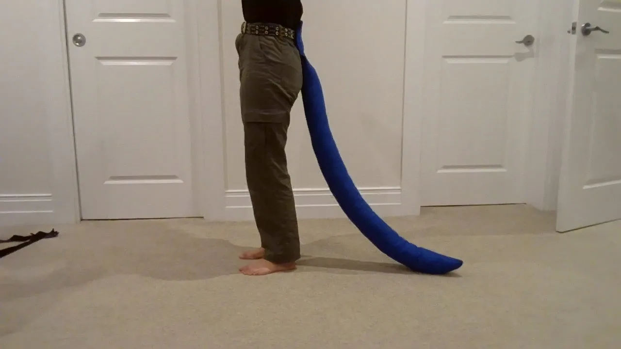 big long tail