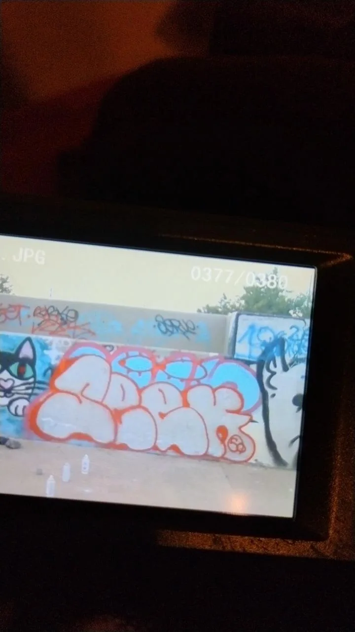 photo
