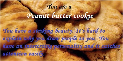 What Type Of Cookie Are You?