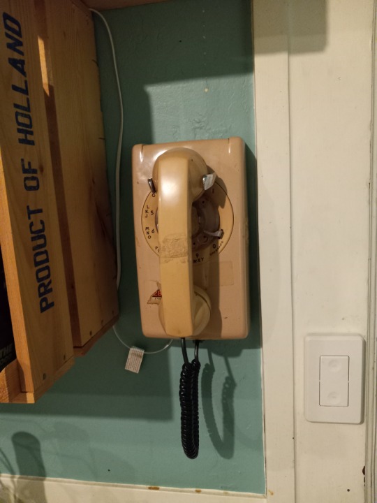 A vintage rotary wall phone
