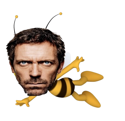 dr house