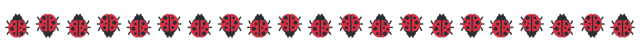 ladybugs