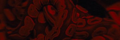 Longlegs (2024) Banner