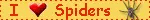 Blinkie Name