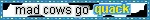 image host