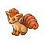 vulpix