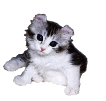 2BT35GJI45ZJ7QJKBVYRYHWGJFK7VMWZ.gif