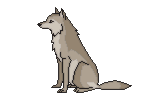 wolp