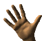 wavig