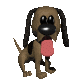 dog