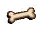 bone