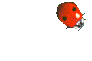 bug gif