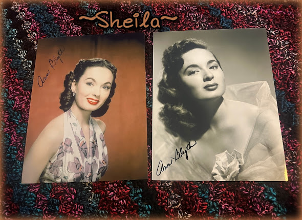 Image%20(3).jpg