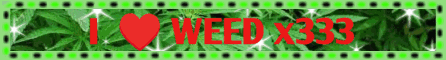 tumblr_e02ba6eb8d2cd35691172129de5ed895_cbef0456_500.gif