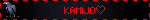 KAMIJO blinkie