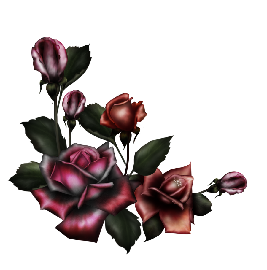 1805059.png