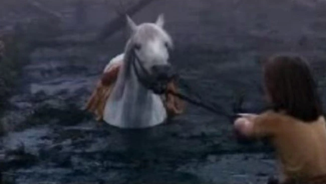 5e835eab91801a00db64e48c732b98ea