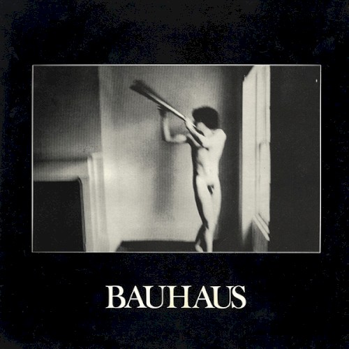 Bauhaus — In the Flat Field