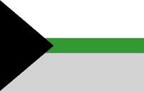 A rectangular flag with horizontal stripes: wide white, narrow green, wide grey; a black chevron (triangle) on the left side
