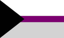 A rectangular flag with a black triangle coming from the left, a white stripe, a narrow purple stripe and a grey stripe.