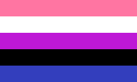 A rectangular flag with five equal-width horizontal stripes: pink, white, purple, black, blue