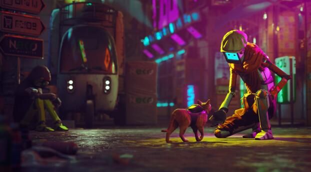 stray
